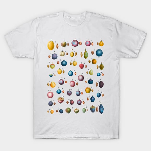 Prunus domestica T-Shirt by Alisa Galitsyna